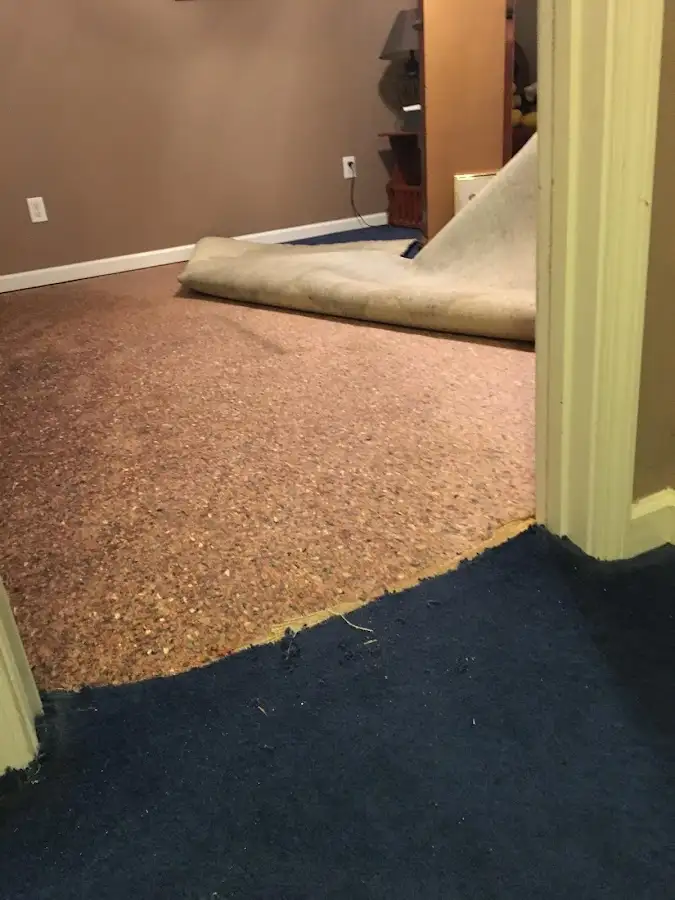 Carpet pad removal revealing water damage during Water Mitigation Services in Camden